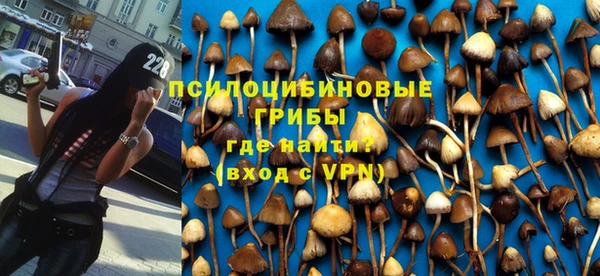 mdma Кукмор