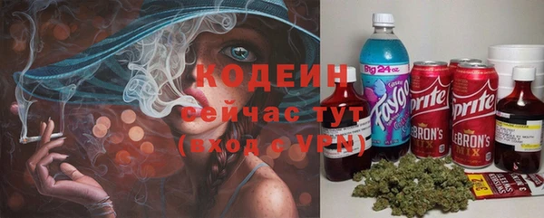 сатива Костерёво