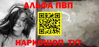 индика Камышлов