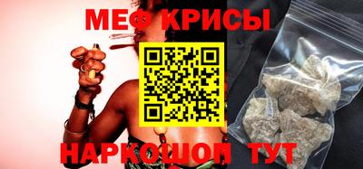 индика Камышлов