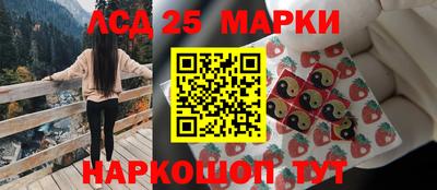 индика Камышлов