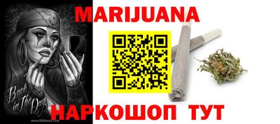 индика Камышлов