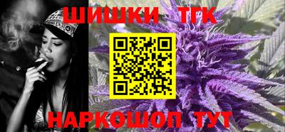 индика Камышлов