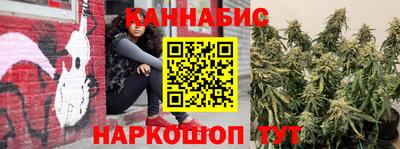 индика Камышлов
