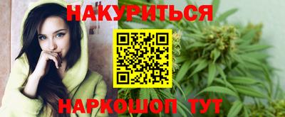 индика Камышлов