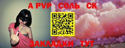 индика Камышлов