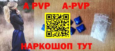 индика Камышлов
