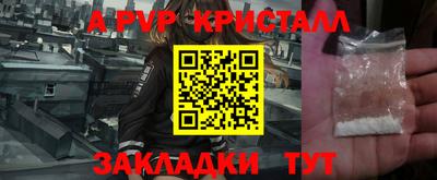 индика Камышлов
