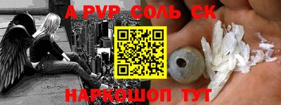 индика Камышлов