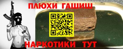 индика Камышлов