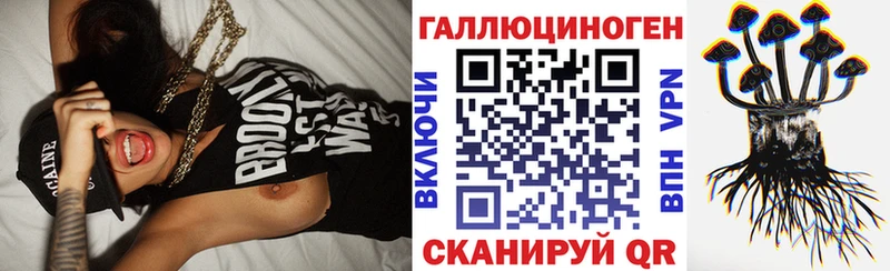 Псилоцибиновые грибы Psilocybine cubensis Малгобек