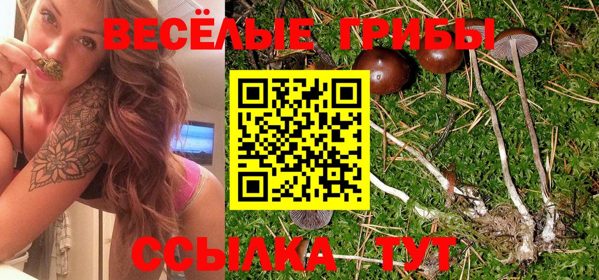Галлюциногенные грибы GOLDEN TEACHER Малгобек